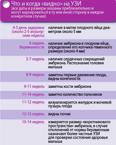 Скрининг первого триместра беременности