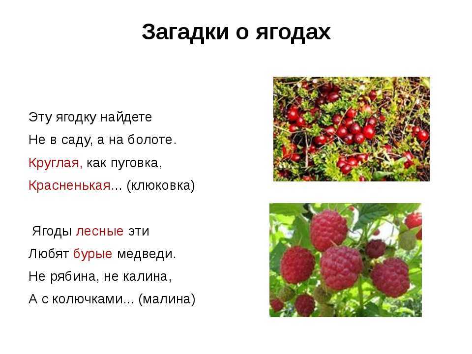 Землянику часть речи. Загадки про ягоды. Загадки на я. Загадки про Лесные ягоды. Загадки про ягоды для детей.