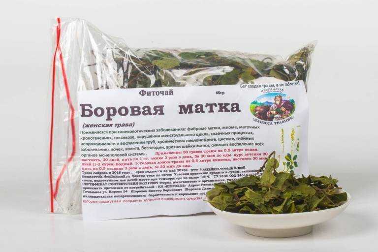 Шалфей лечебные свойства, польза и вред чая, исследования, рецепты