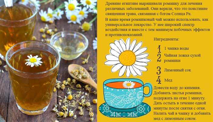 Как правильно заваривать ромашку для купания новорожденного: пошаговая инструкция