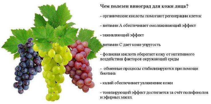Можно ли детям виноград с косточками: ответ на вопрос