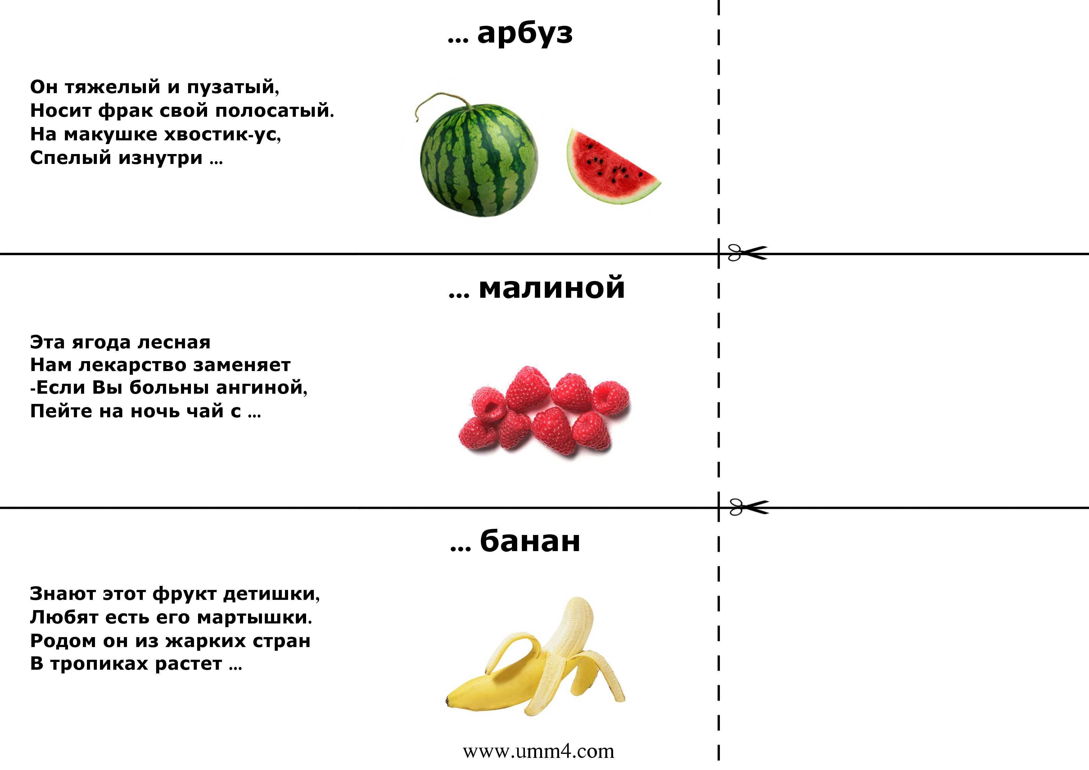 Загадки о насекомых с ответами – 100 лучших загадок – ladyvi.ru