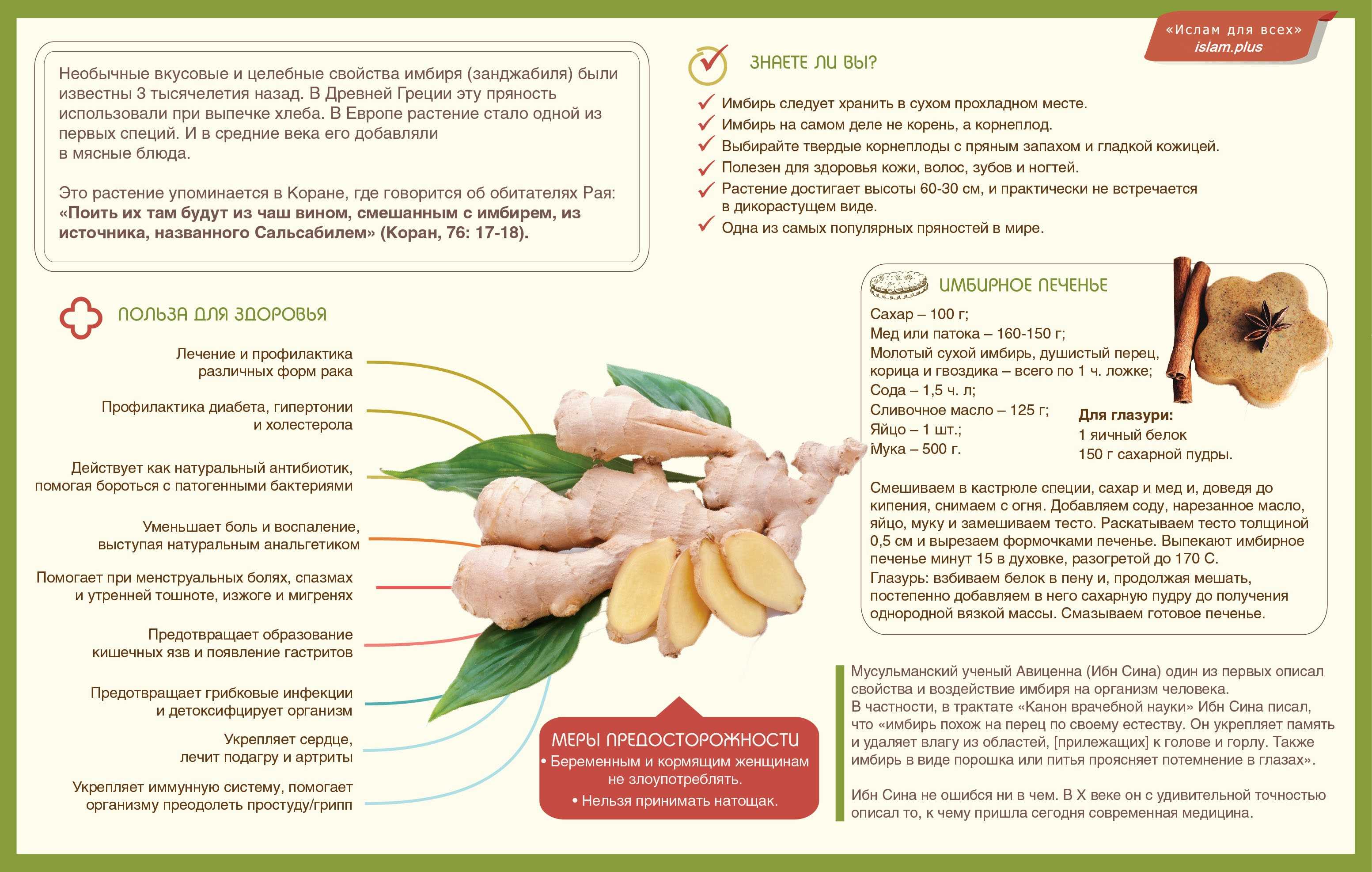 Имбирь: кому нельзя употреблять этот продукт