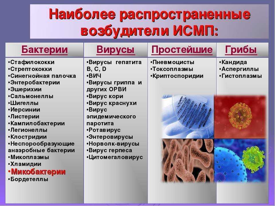 Профилактика и лечение инфекционно-воспалительных заболеваний у новорожденных, вызванных стрептококком группы в