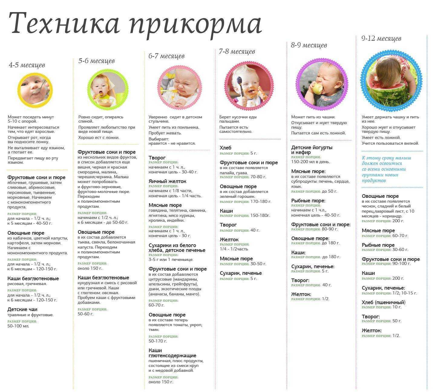Меню ребенка в 8 месяцев: что можно, режим питания