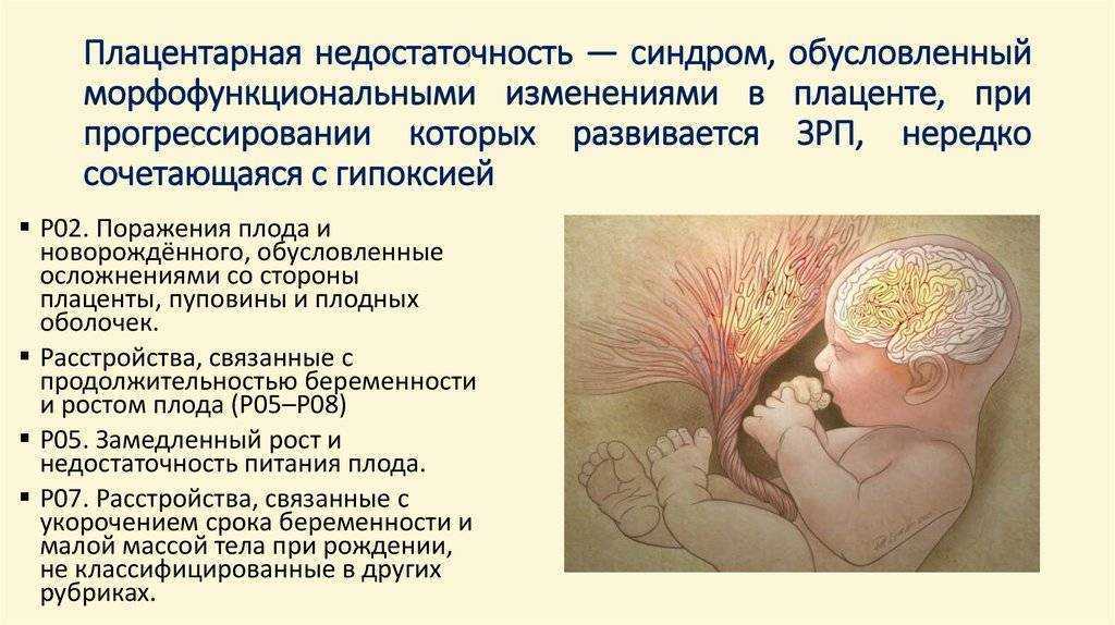 Календарь беременности. 35-я акушерская неделя