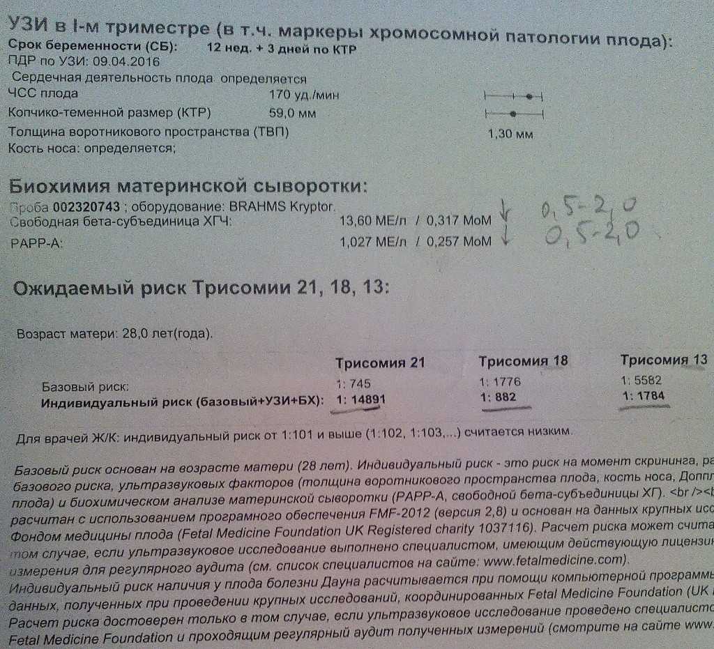 Триплоидия: что это такое, причины возникновения, симптомы, прогноз