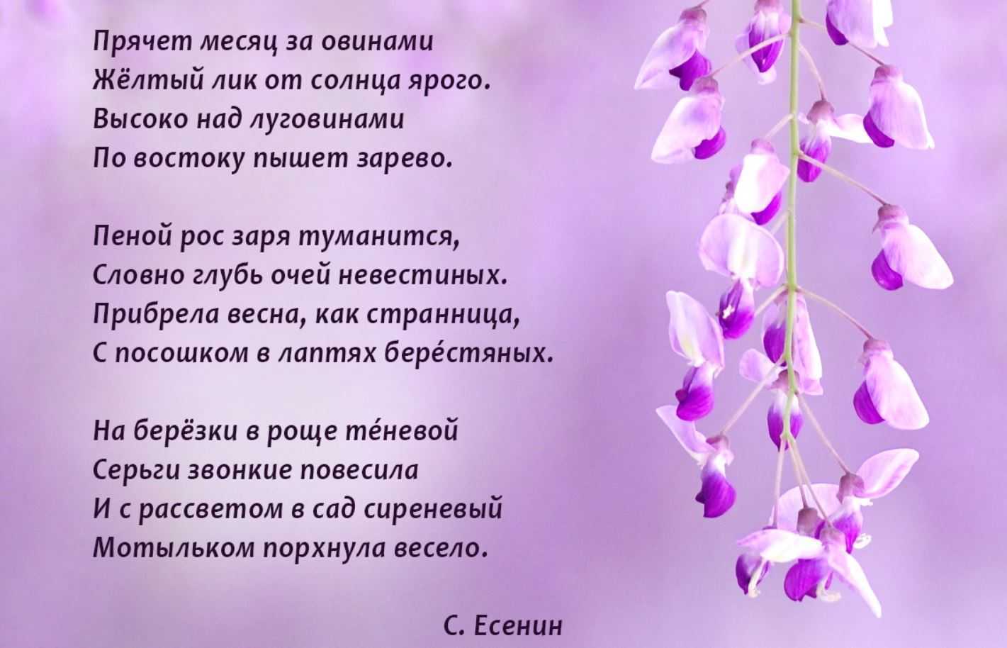 Стихи о природе