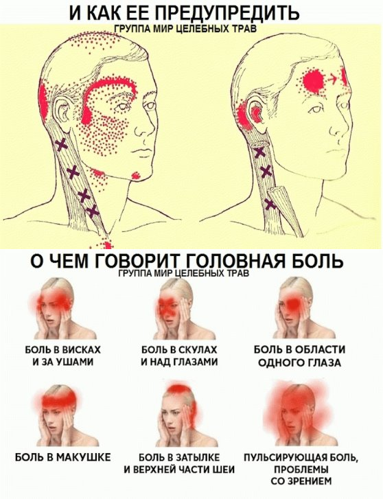 Массаж разных частей тела при беременности: какие есть виды, можно ли делать беременным и как правильно массировать?