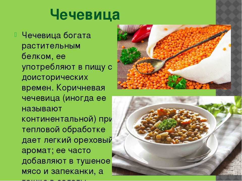 Чечевица: польза и вред, рецепты приготовления