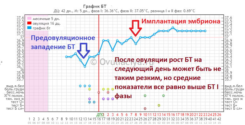 Базальная температура при беременности