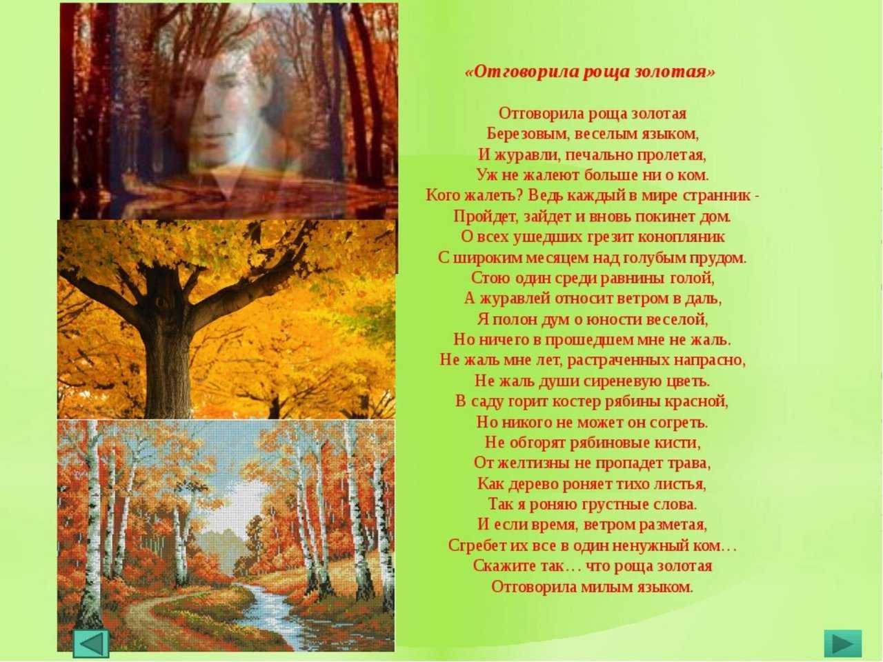 Береза Стих Слушать Онлайн