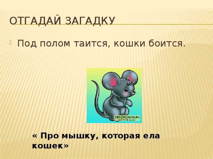 Загадки про кита для детей с ответами — сборник лучших головоломок для малышей и школьников