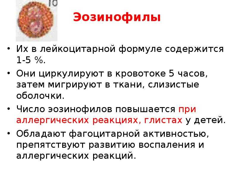 10 причин повышения уровня эозинофилов в крови у ребёнка