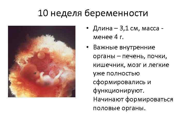 ➤ 10 неделя беременности всё что нужно знать будущей маме