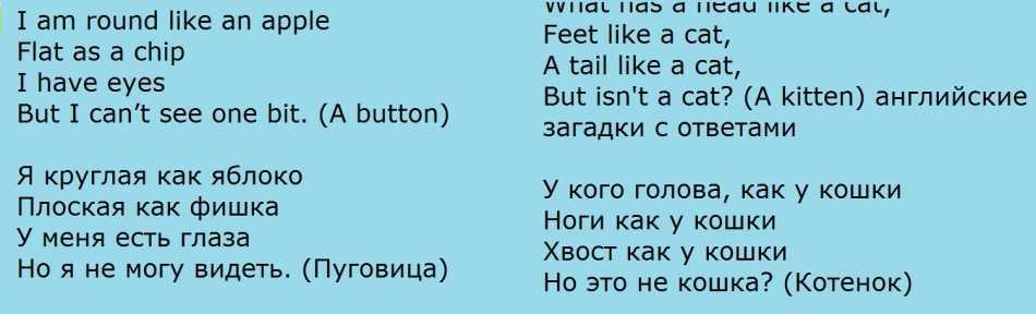 Составить загадки на английском языке с переводом. загадки про животных на английском (16 загадок с переводом)