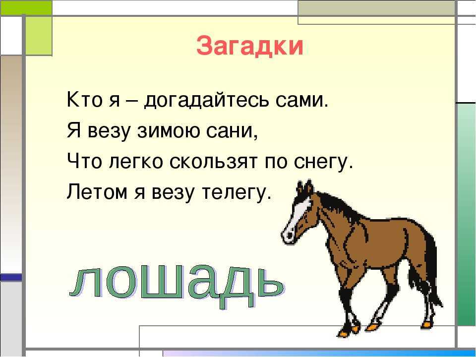 Загадка. Загадка про лошадь. Разные загадки. Загадка про коня. Отгадка спереди