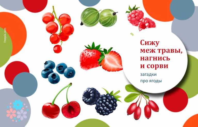 Загадки с ответами для детей про овощи, зелень, фрукты и ягоды
