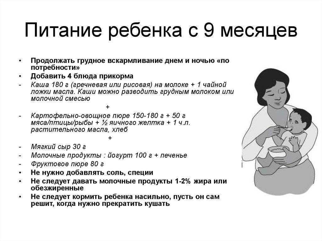 Грудное вскармливание – питание ребенка первого года жизни