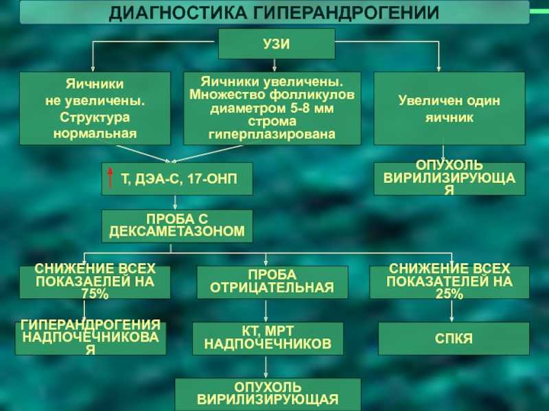 Гиперандрогения у женщин - что это? причины, симптомы, лечение синдрома | романов георгий никитич