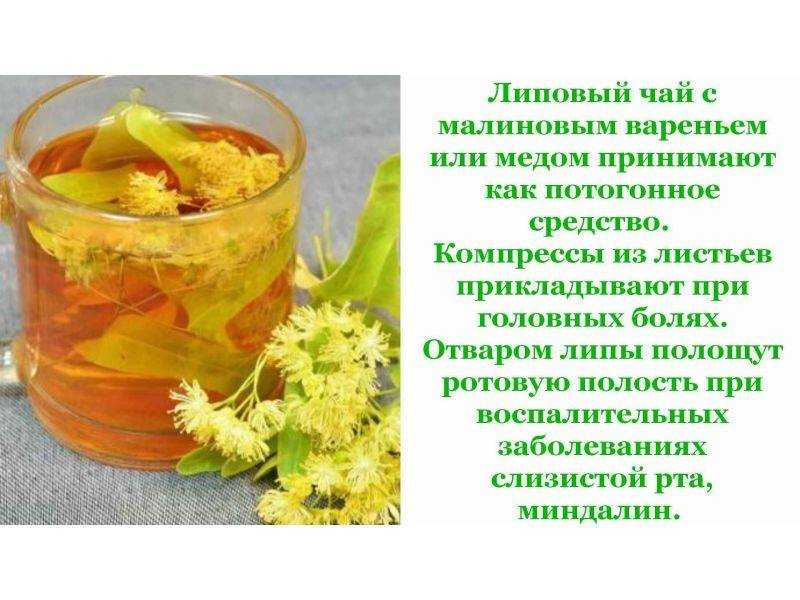 Мелисса