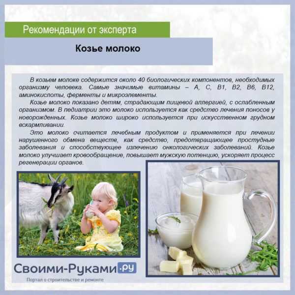 От 6 месяцев и старше — какие молочные продукты стоит давать в виде прикорма маленьким детям