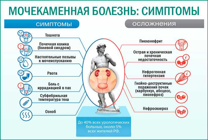 Оксалаты в моче у ребенка: 8 причин появления, методы лечения