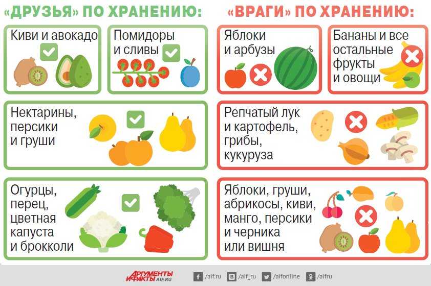 Можно ли детям шампиньоны в 1,2, 3, 4, 5, 6 лет, мнение комаровского - садоводство - 2023