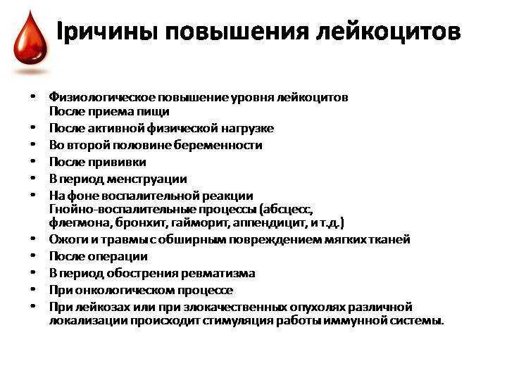 Лейкоциты в моче у ребенка: норма, 4 причины повышения, правила сбора анализов