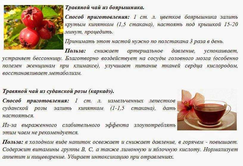 Мелисса при беременности: польза и вред. можно ли мелиссу при беременности на ранних и поздних сроках. чай с мелиссой во время беременности — беременность. беременность по неделям.