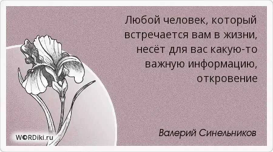 Дети матерятся: что делать? рекомендации родителям