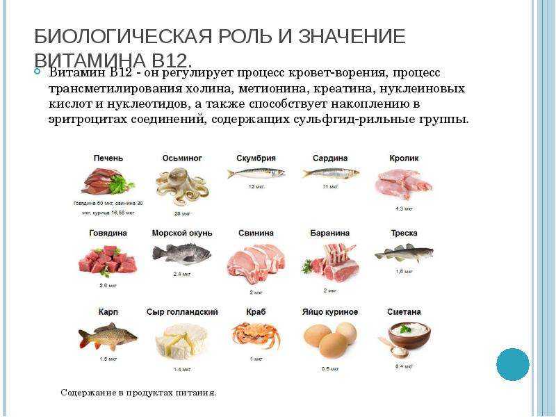 В каких продуктах содержится витамин в12