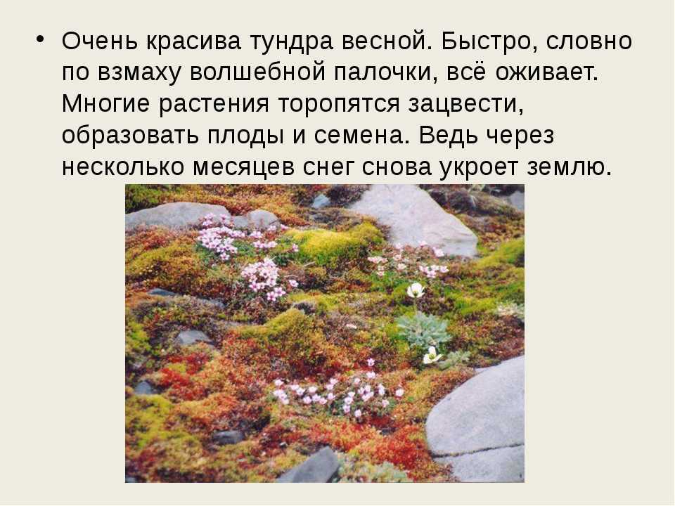 Географические загадки