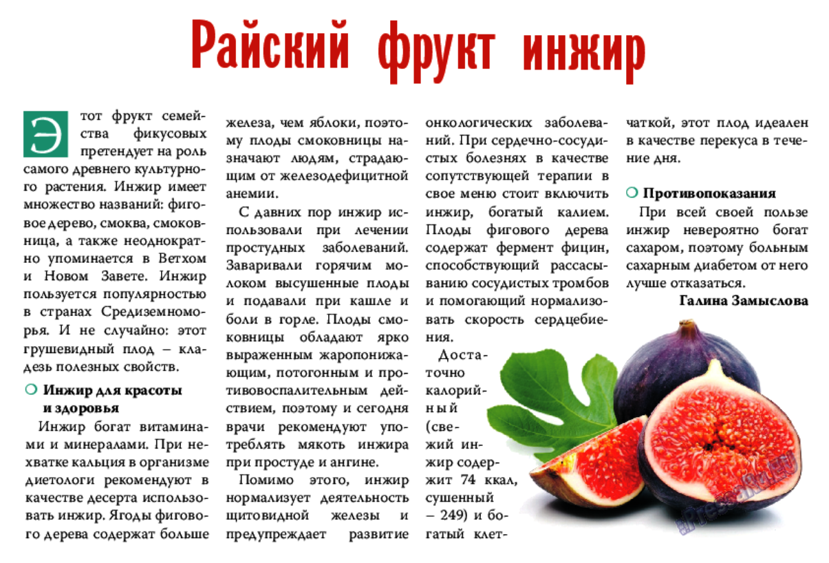 Можно ли есть инжир при грудном вскармливании Какова польза этого фрукта и есть ли ограничения в его употреблении