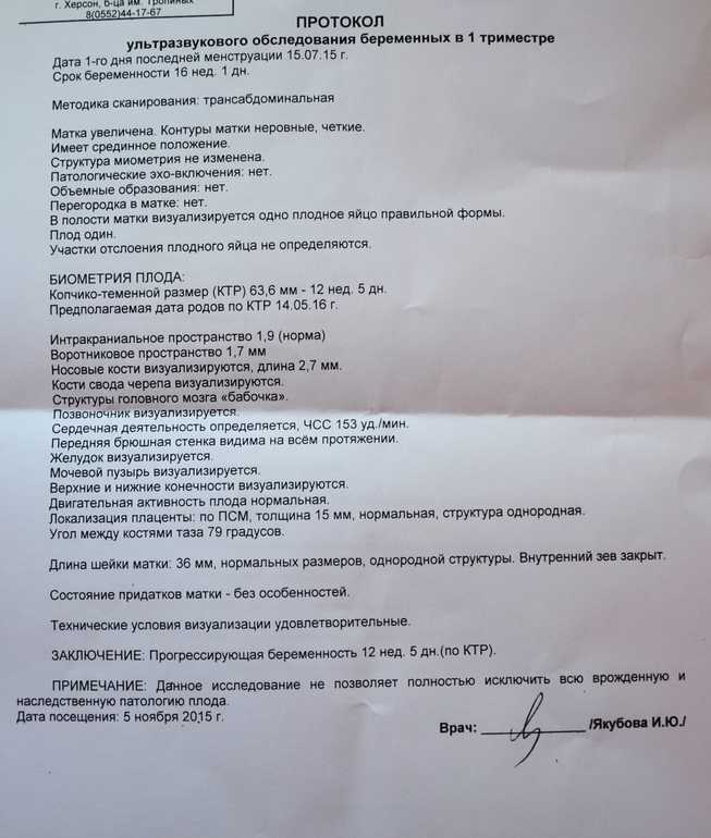 Скрининг 1, 2, 3 триместра беременности
