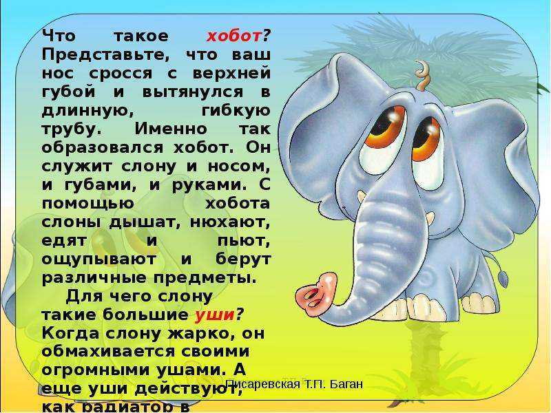 Стихи для детей 3–11 лет. тема «всё, что знаю про слонов, детям рассказать готов»