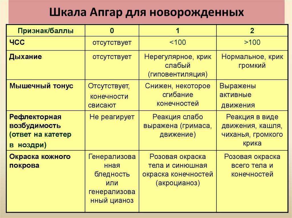 Реанимация новорожденных в родильном зале: отделение реанимации, интенсивной терапии, этапы, асфиксия, после кесарева, чсс, ивл,