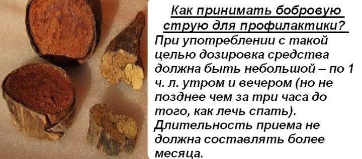 Лечебные свойства бобровой струи для мужчин и как ее принимать для повышения потенции