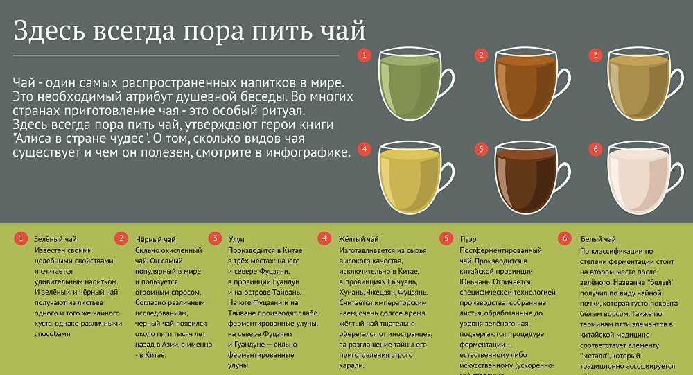 В чем состоит польза зеленого чая для женского организма? противопоказания, правильное хранение и употребление напитка