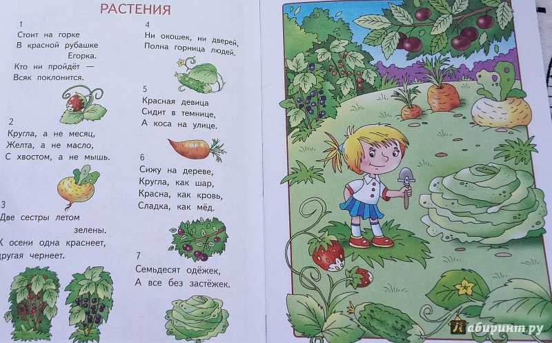 Загадки о книгах