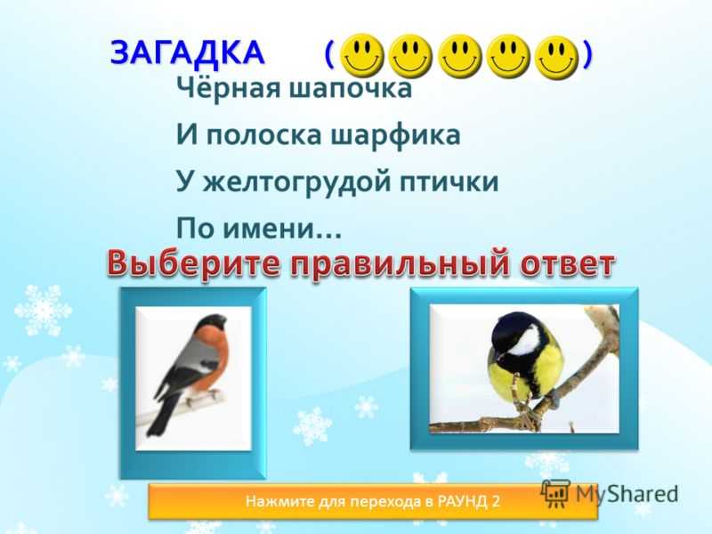 Загадки о птицах для детей с ответами