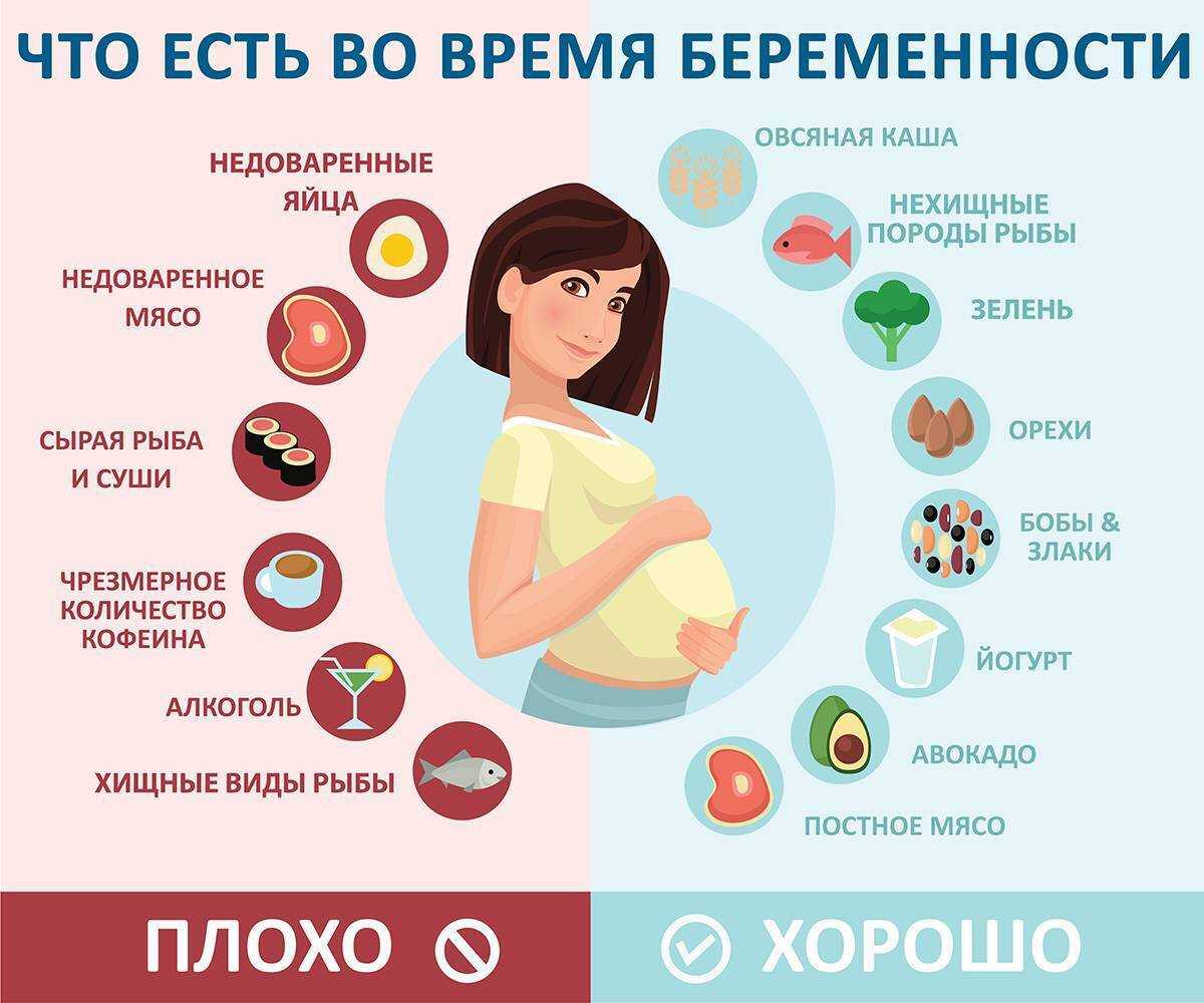 Можно ли беременным грибы вешенки, лисички или шампиньоны: почему нельзя кушать маринованные лисички или грибной белый суп, стоит ли лакомиться жареными грибами
