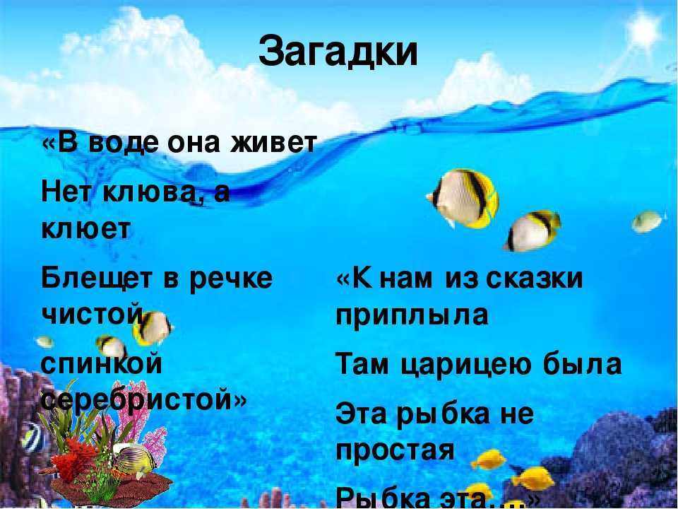 Удивительный вопрос: почему я водовоз? загадки про воду
