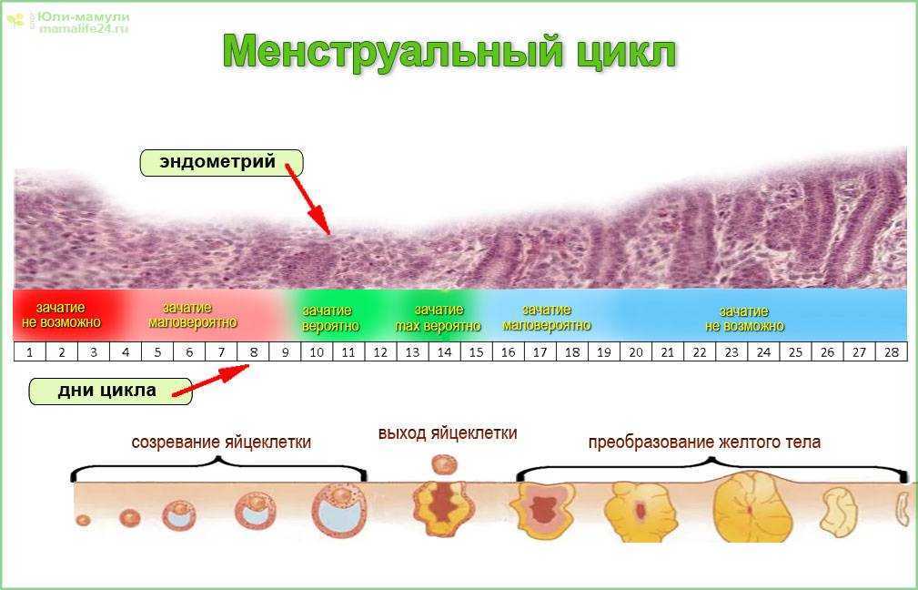 Скудные менструации