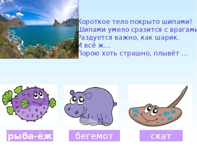 Морские загадки