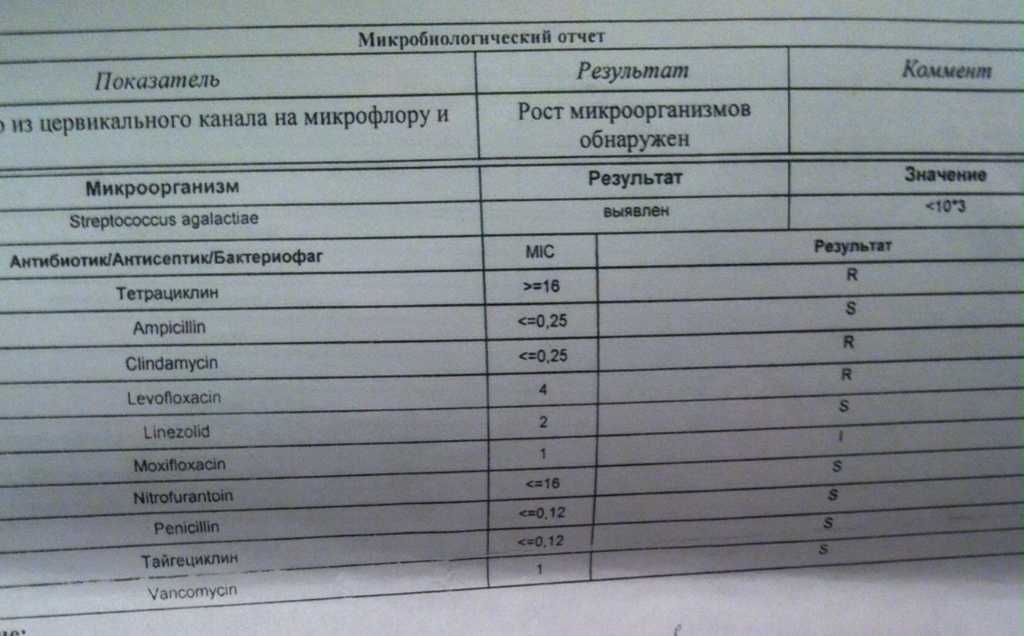 Чем лечить энтерококк фекальный у женщин в мазке схема лечения