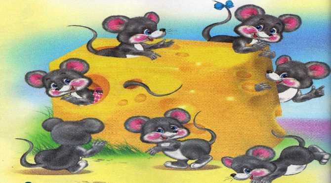 Шесть мышей. Семь мышат. Шесть мышат. Семеро мышат. Шесть мышат в камышах.