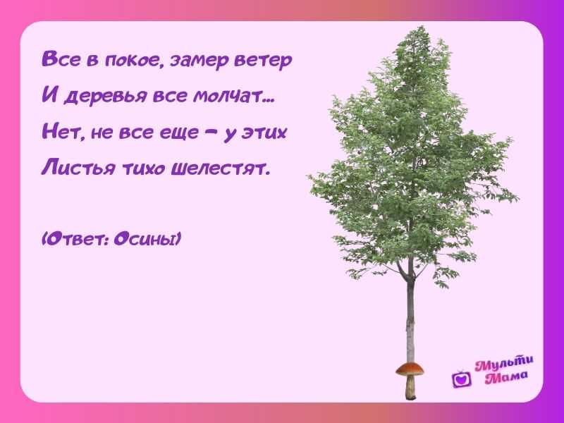 Загадки про деревья - подготовка к школе и развивающие задания для детей мама7я