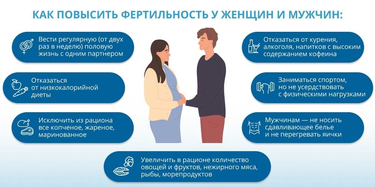 Фертильность у женщин и мужчин: что это простыми словами, окно и коэффициент фертильности