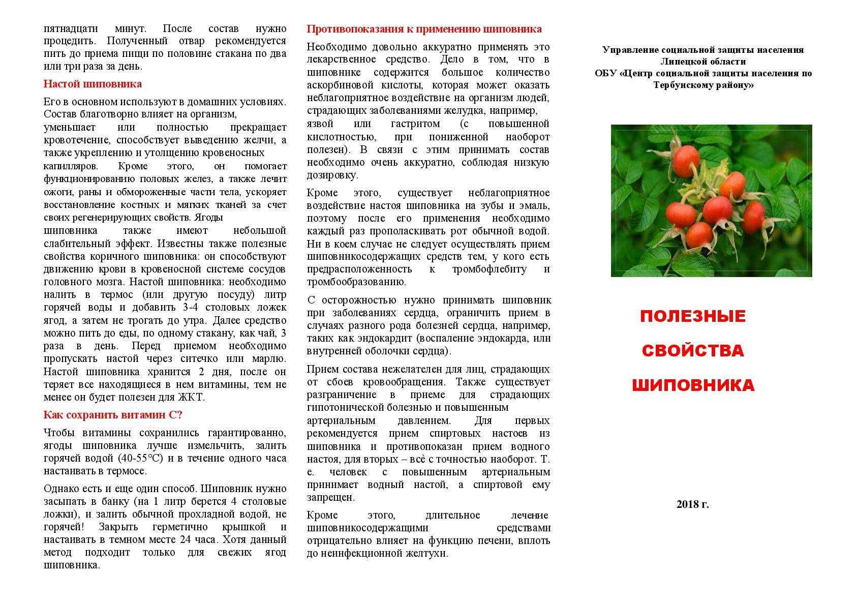 Диета кормящей мамы – что можно кушать при грудном вскармливании (гв) - agulife.ru